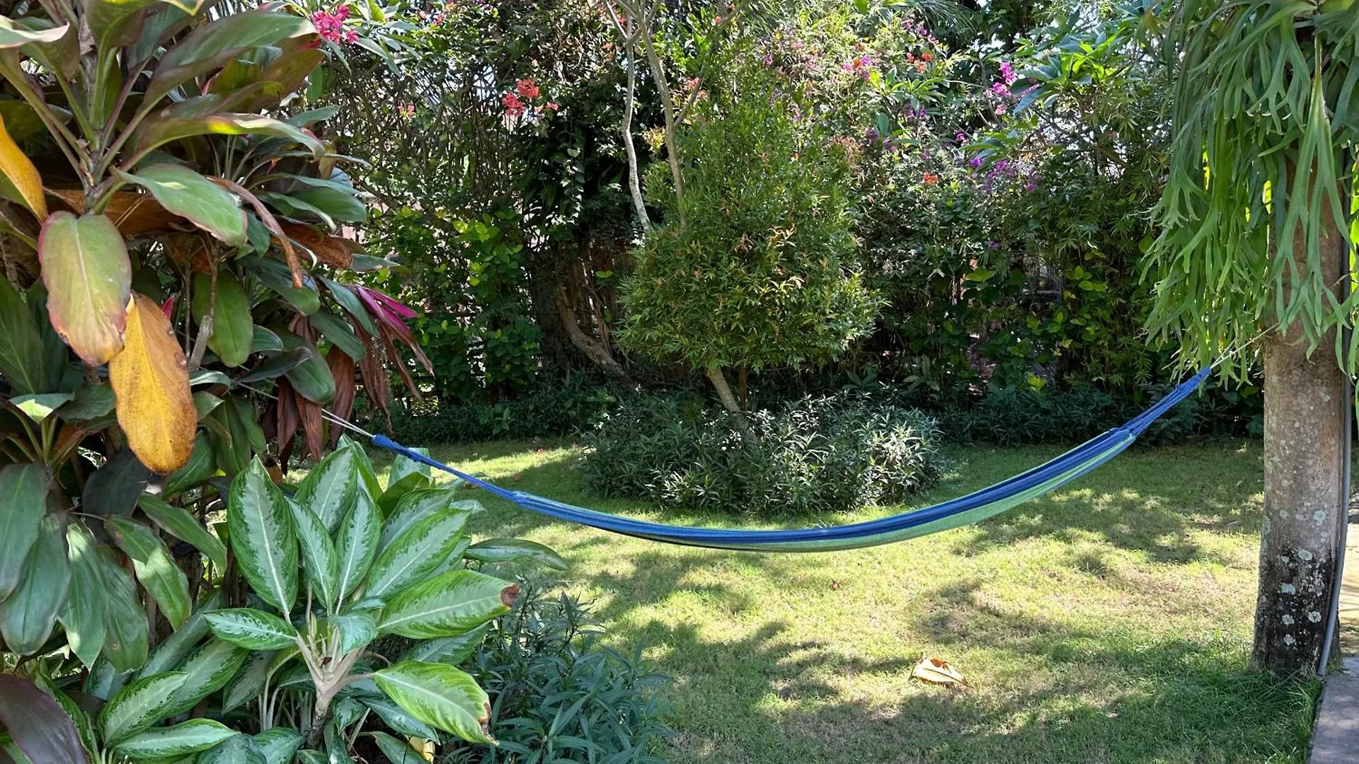 金巴兰小屋 Indonezja
